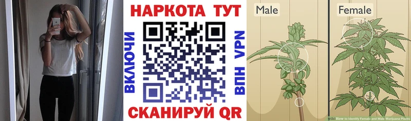 Сколько стоит Лянтор APVP Марихуана Мефедрон Гашиш