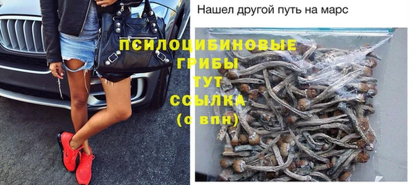 эйфоретик Балахна
